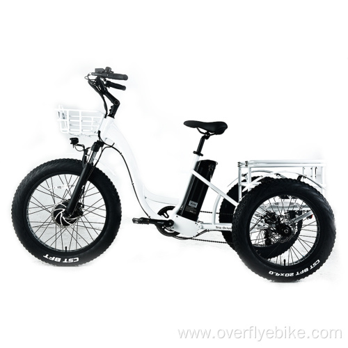 XY-Trio Deluxe fat tire electric tilting tricycle